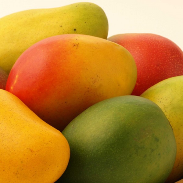 Mango sauvage (1kg)