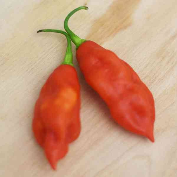 Piment vegetarien (2kg)